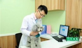 宠物医生周昱爆料视频